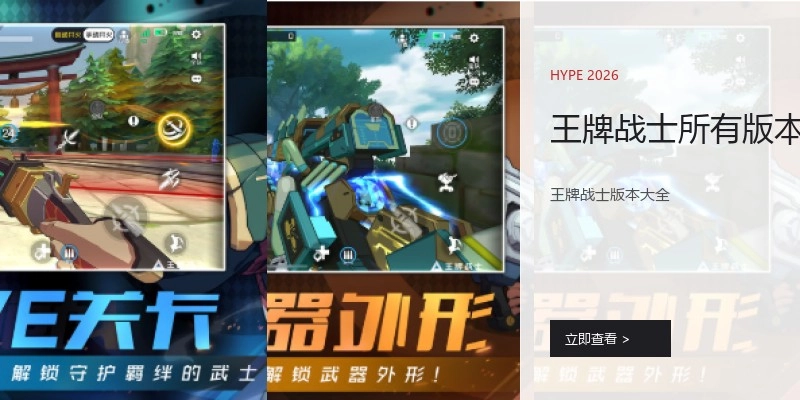 王牌战士所有版本