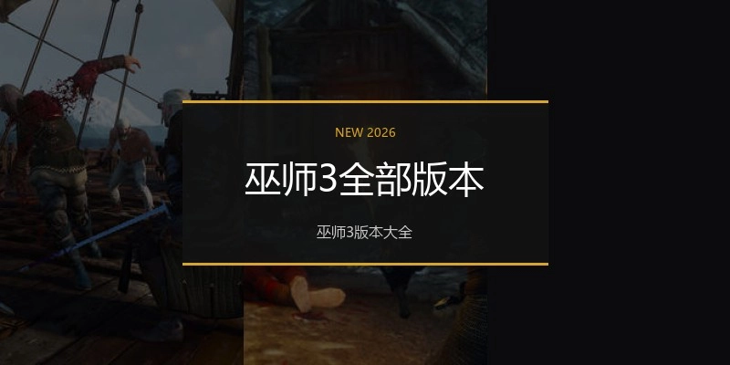巫师3全部版本