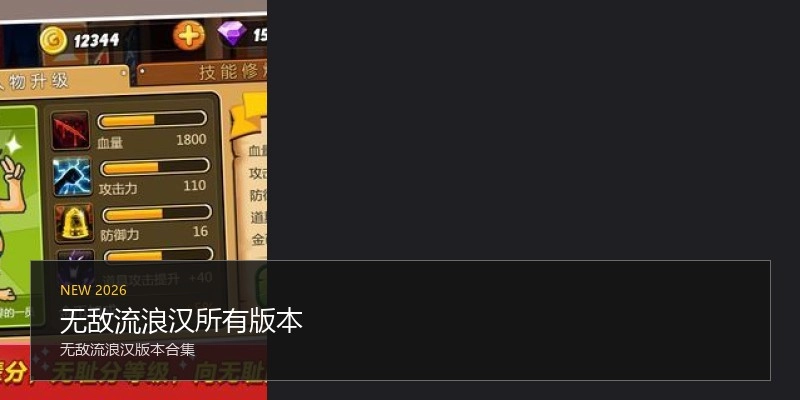 无敌流浪汉所有版本