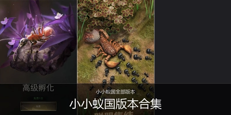 小小蚁国版本合集