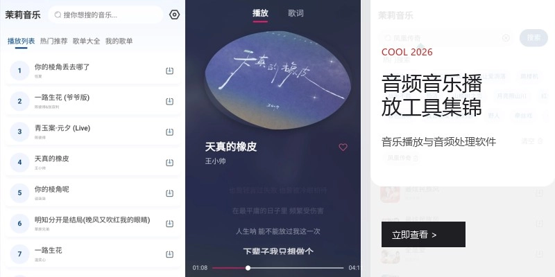 音频音乐播放工具集锦