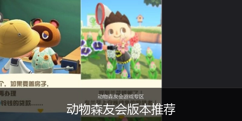动物森友会版本推荐