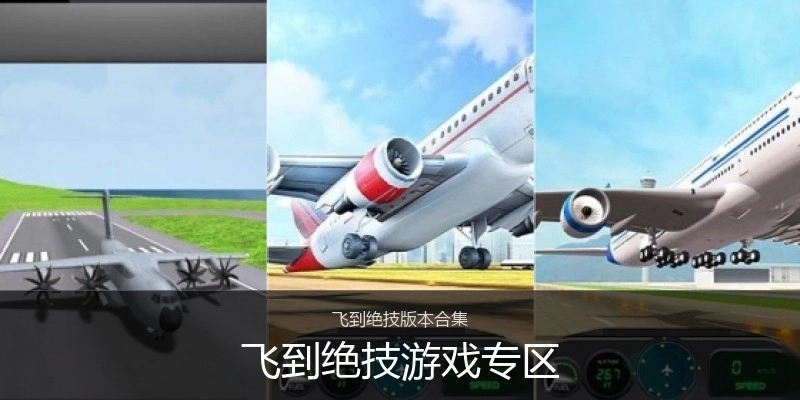 飞到绝技游戏专区