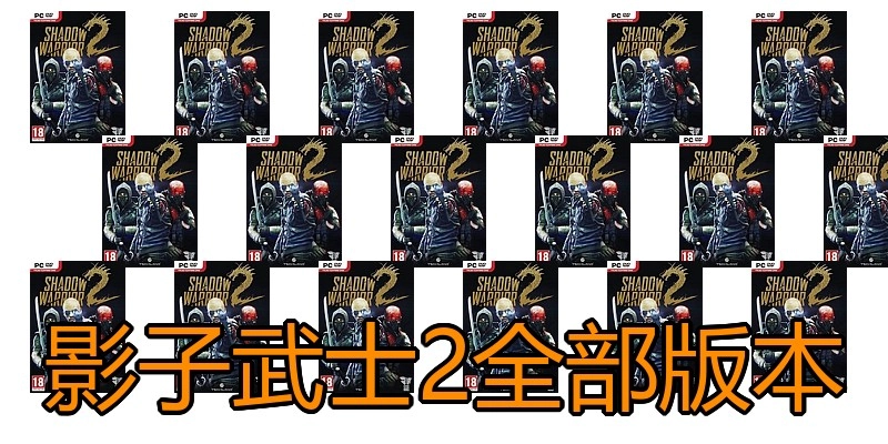 影子武士2全部版本