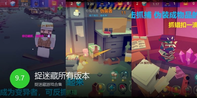 捉迷藏所有版本