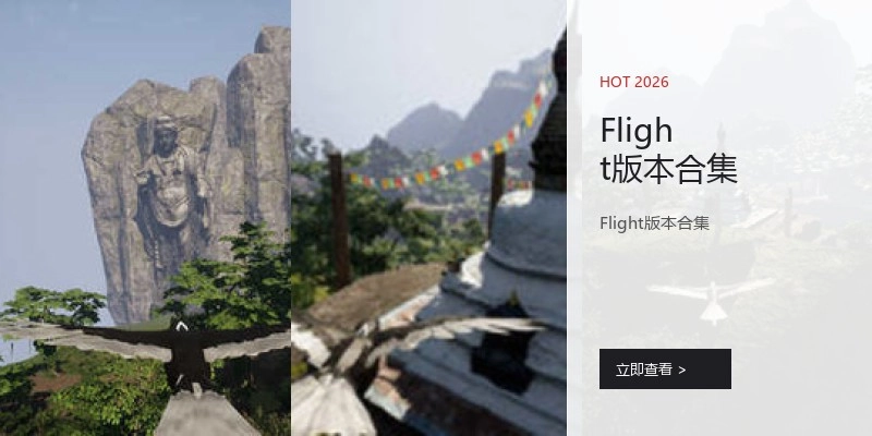 Flight版本合集