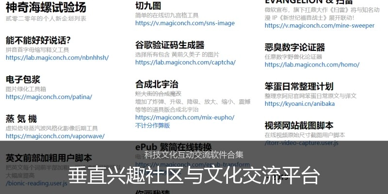 垂直兴趣社区与文化交流平台