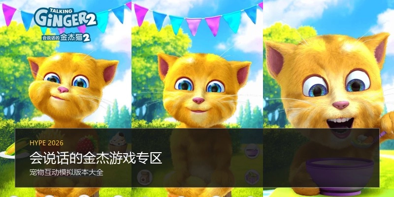 会说话的金杰游戏专区