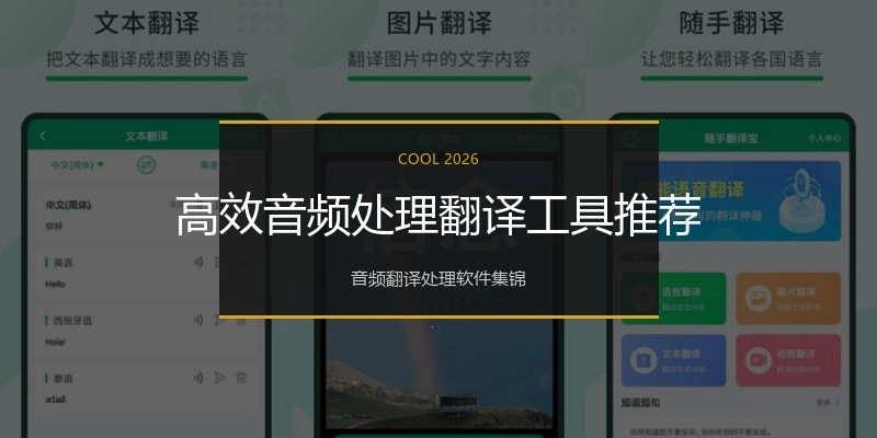 高效音频处理翻译工具推荐