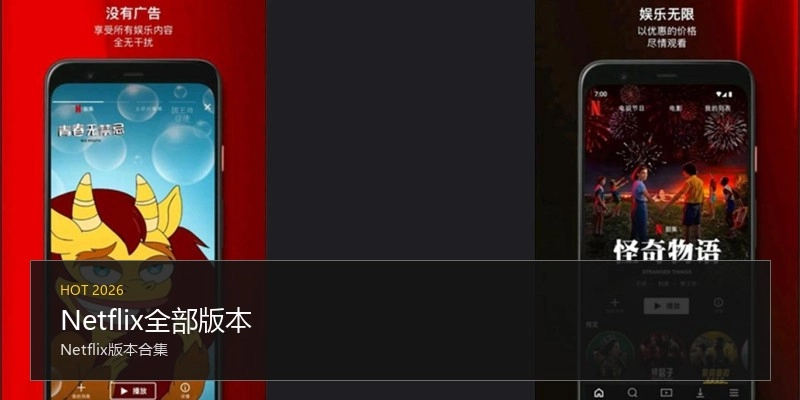 Netflix全部版本