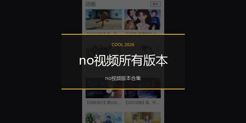 no视频所有版本