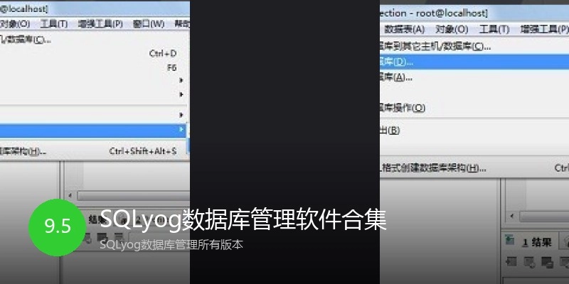 SQLyog数据库管理软件合集