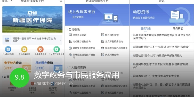 数字政务与市民服务应用