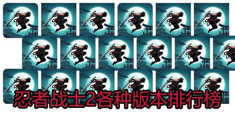 忍者战士2各种版本排行榜