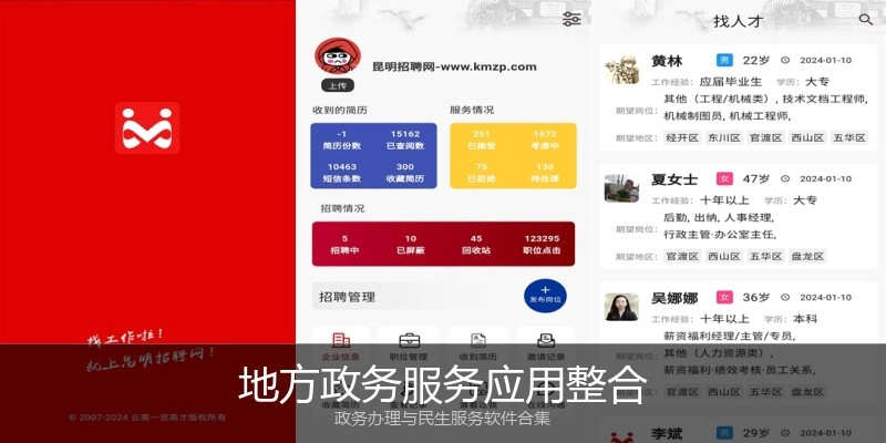 地方政务服务应用整合