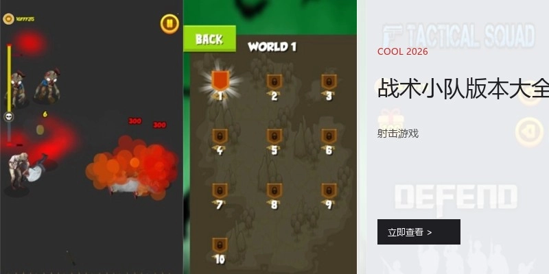 战术小队版本大全