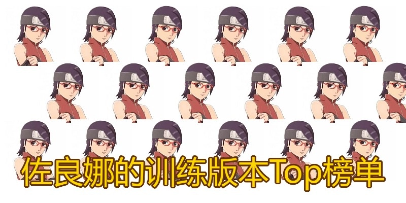 佐良娜的训练版本Top榜单