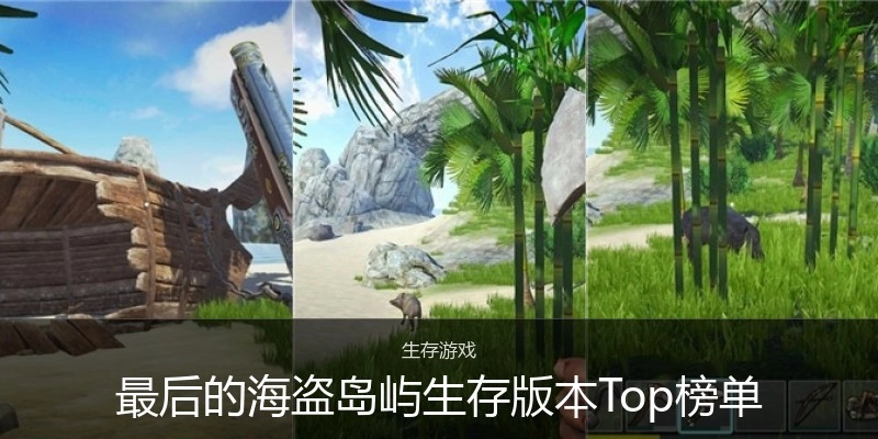 最后的海盗岛屿生存版本Top榜单
