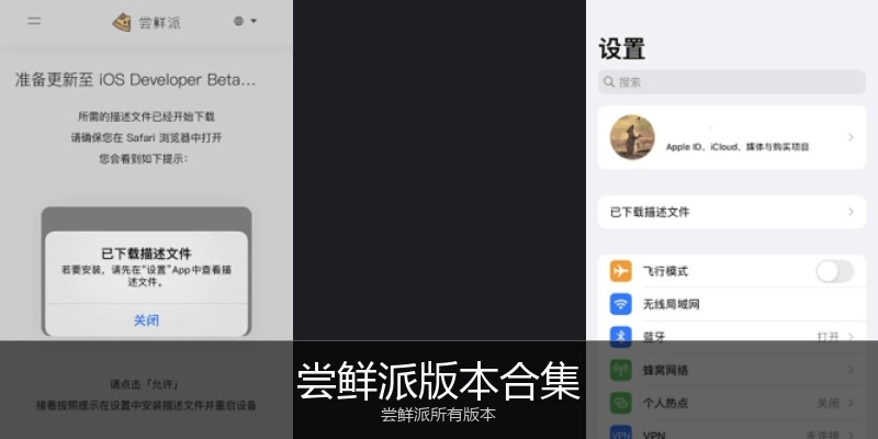 尝鲜派版本合集