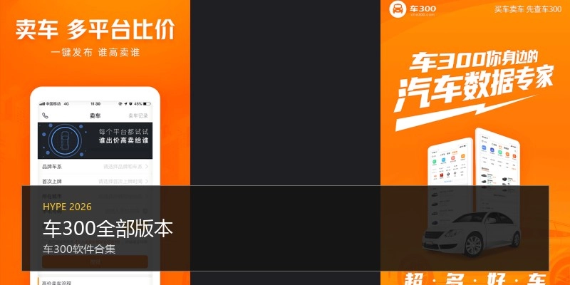 车300全部版本