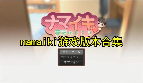 namaiki游戏版本合集