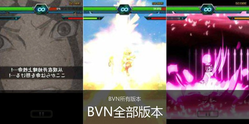 BVN全部版本