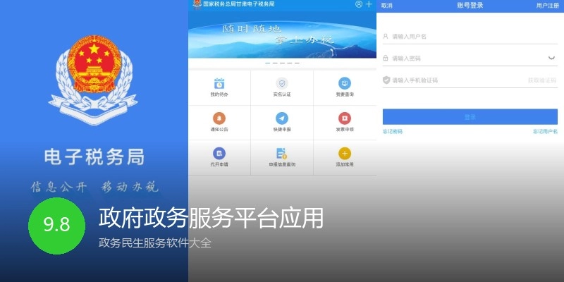 政府政务服务平台应用