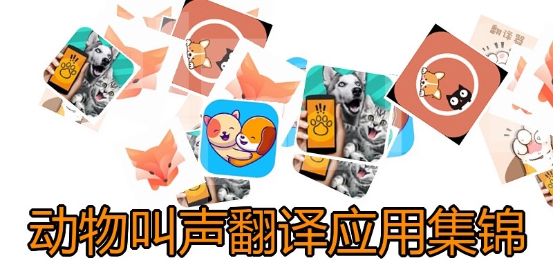 动物叫声翻译应用集锦