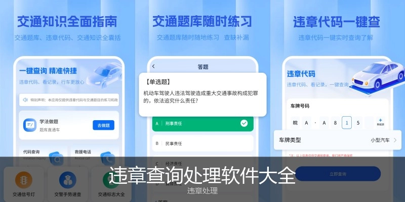 违章查询处理软件大全