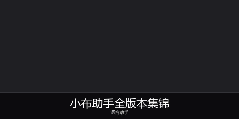 小布助手全版本集锦