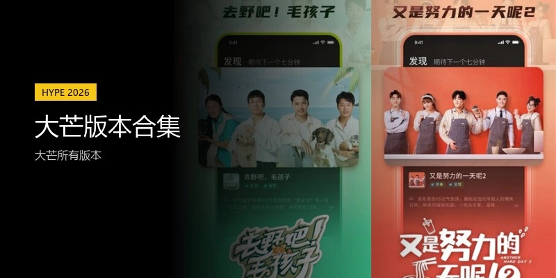 大芒版本合集