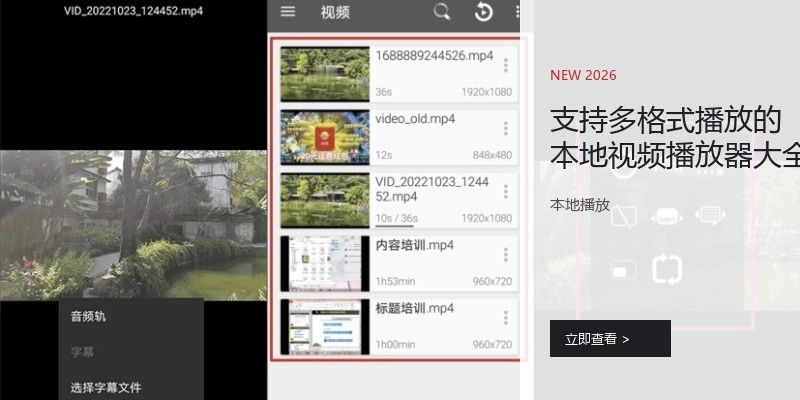 支持多格式播放的本地视频播放器大全