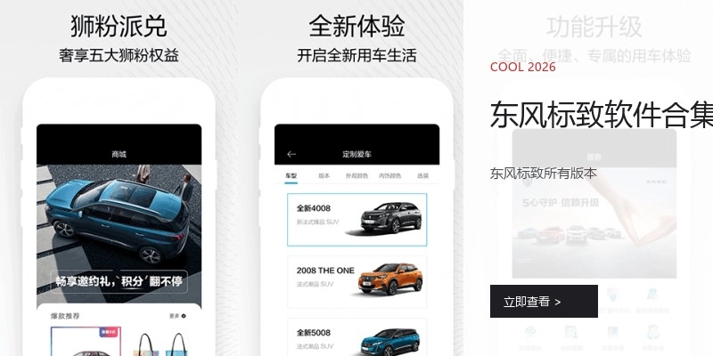 东风标致软件合集