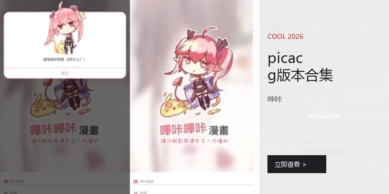 picacg版本合集