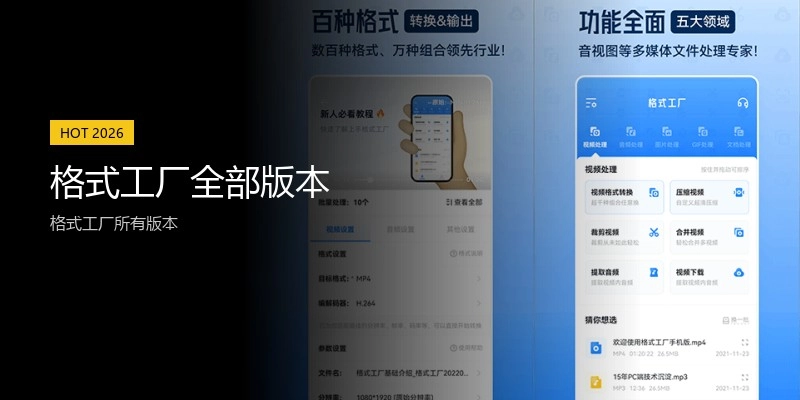格式工厂全部版本