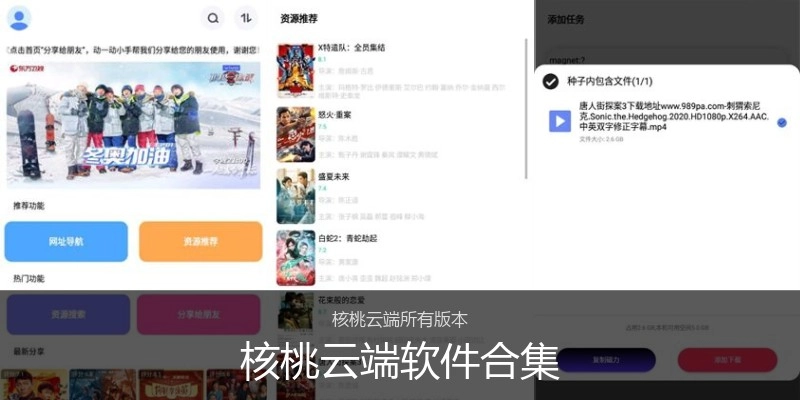 核桃云端软件合集