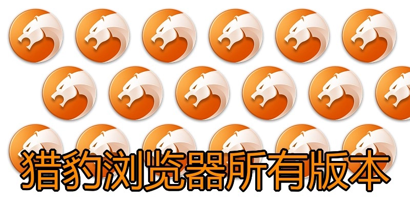 猎豹浏览器所有版本