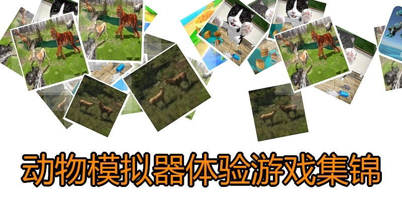 动物模拟器体验游戏集锦