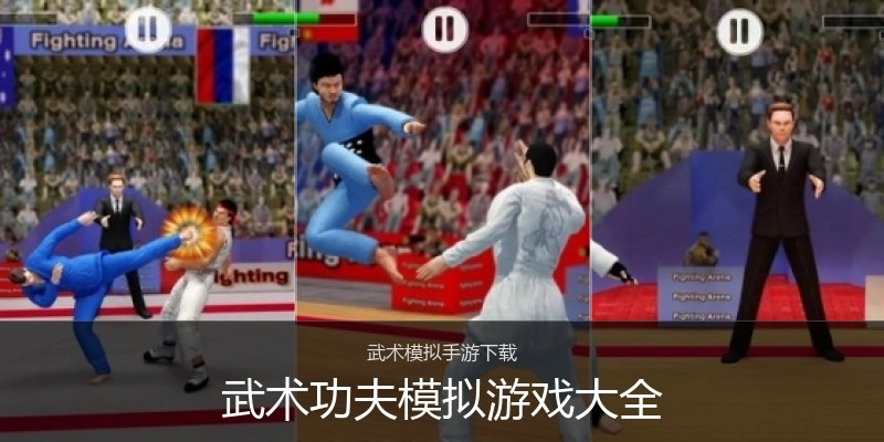 武术功夫模拟游戏大全