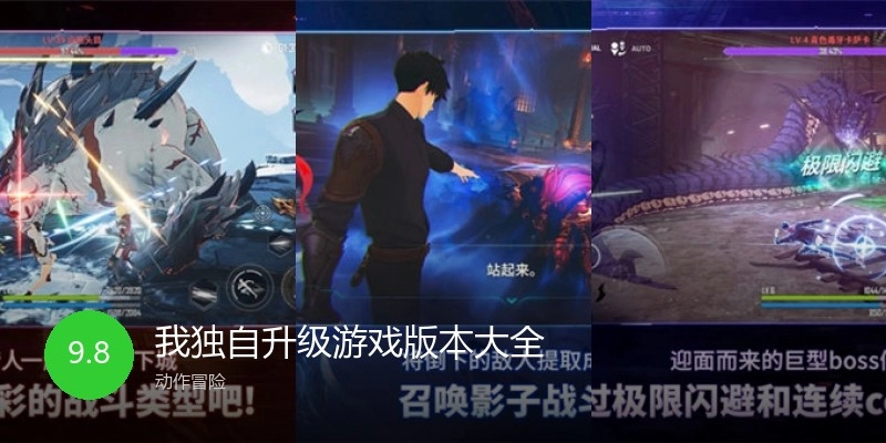 我独自升级游戏版本大全