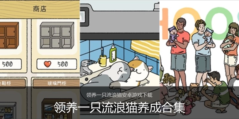 领养一只流浪猫养成合集
