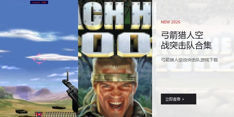 弓箭猎人空战突击队合集