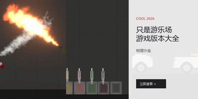 只是游乐场游戏版本大全