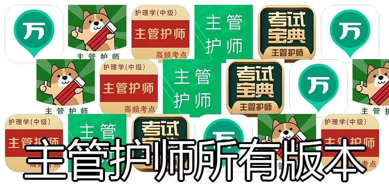 主管护师所有版本