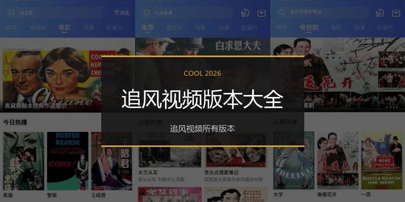 追风视频版本大全