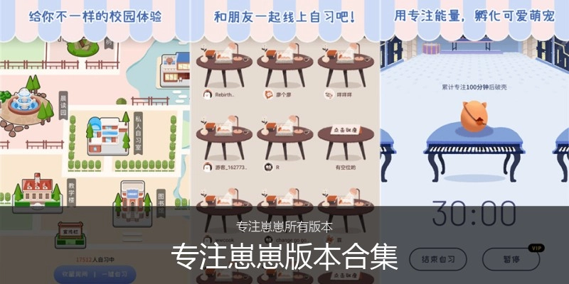 专注崽崽版本合集