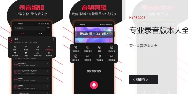 专业录音版本大全