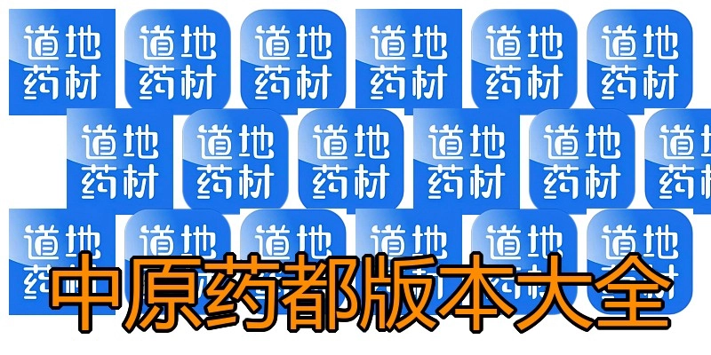 中原药都版本大全