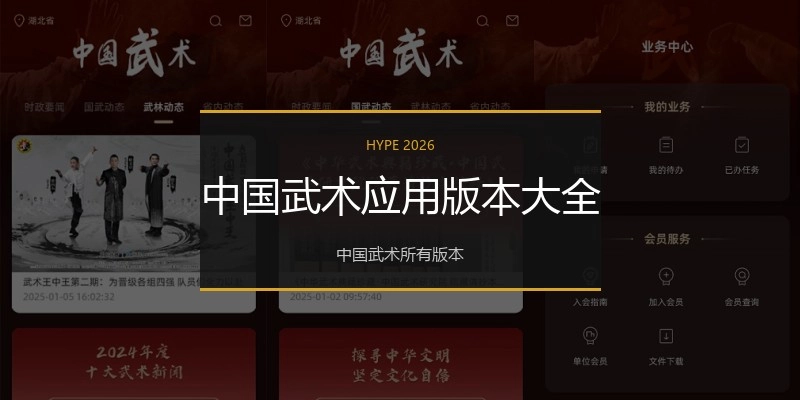 中国武术应用版本大全
