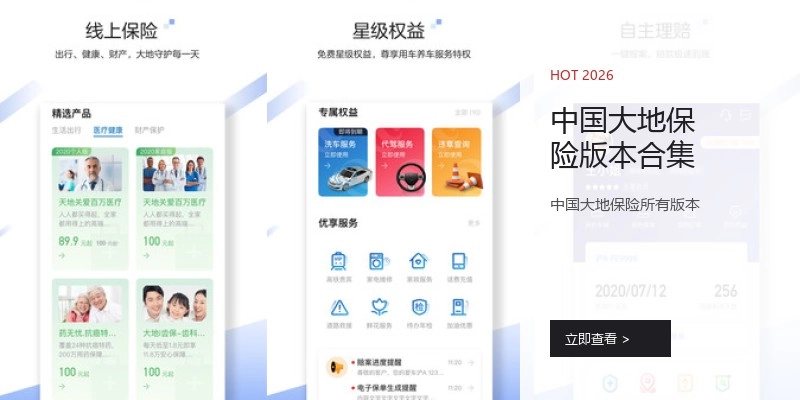 中国大地保险版本合集